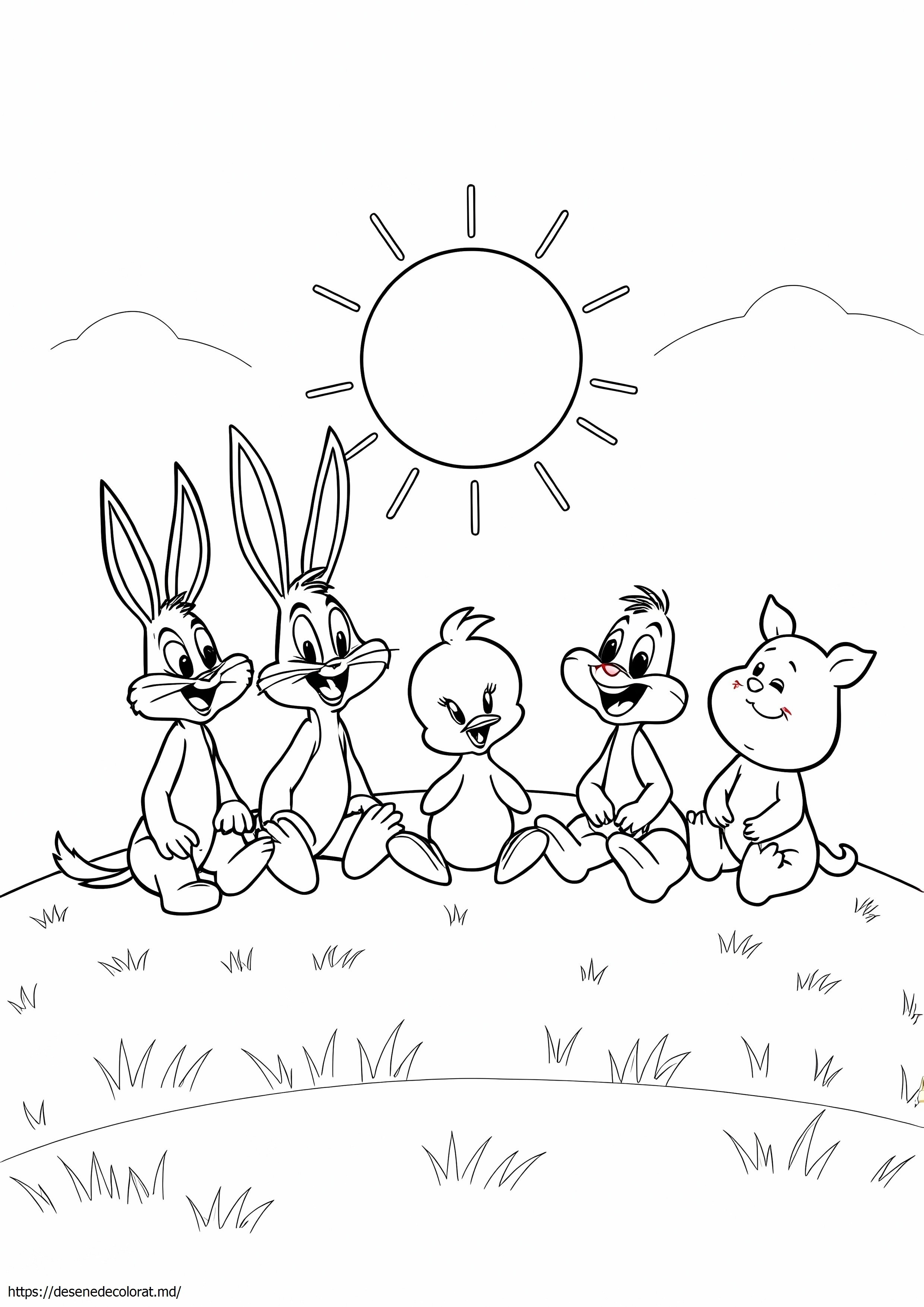Baby looney tunes