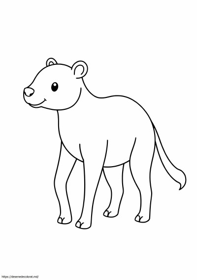 Animal