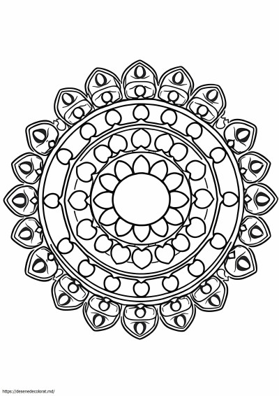 Mandala incepator