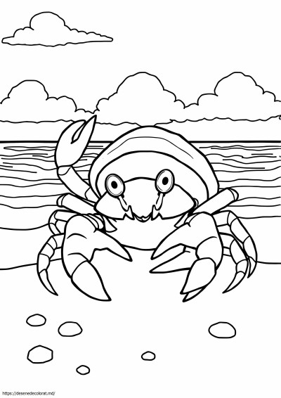 Crab pustnic