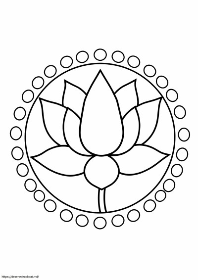 Lotus ușor