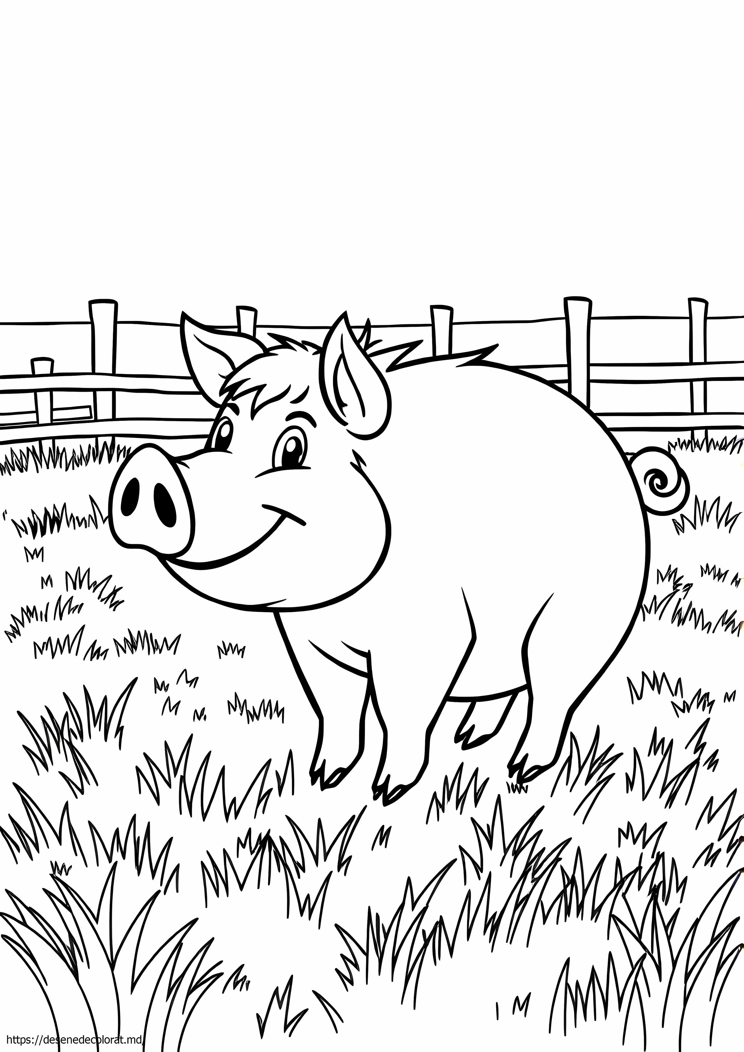 Porc