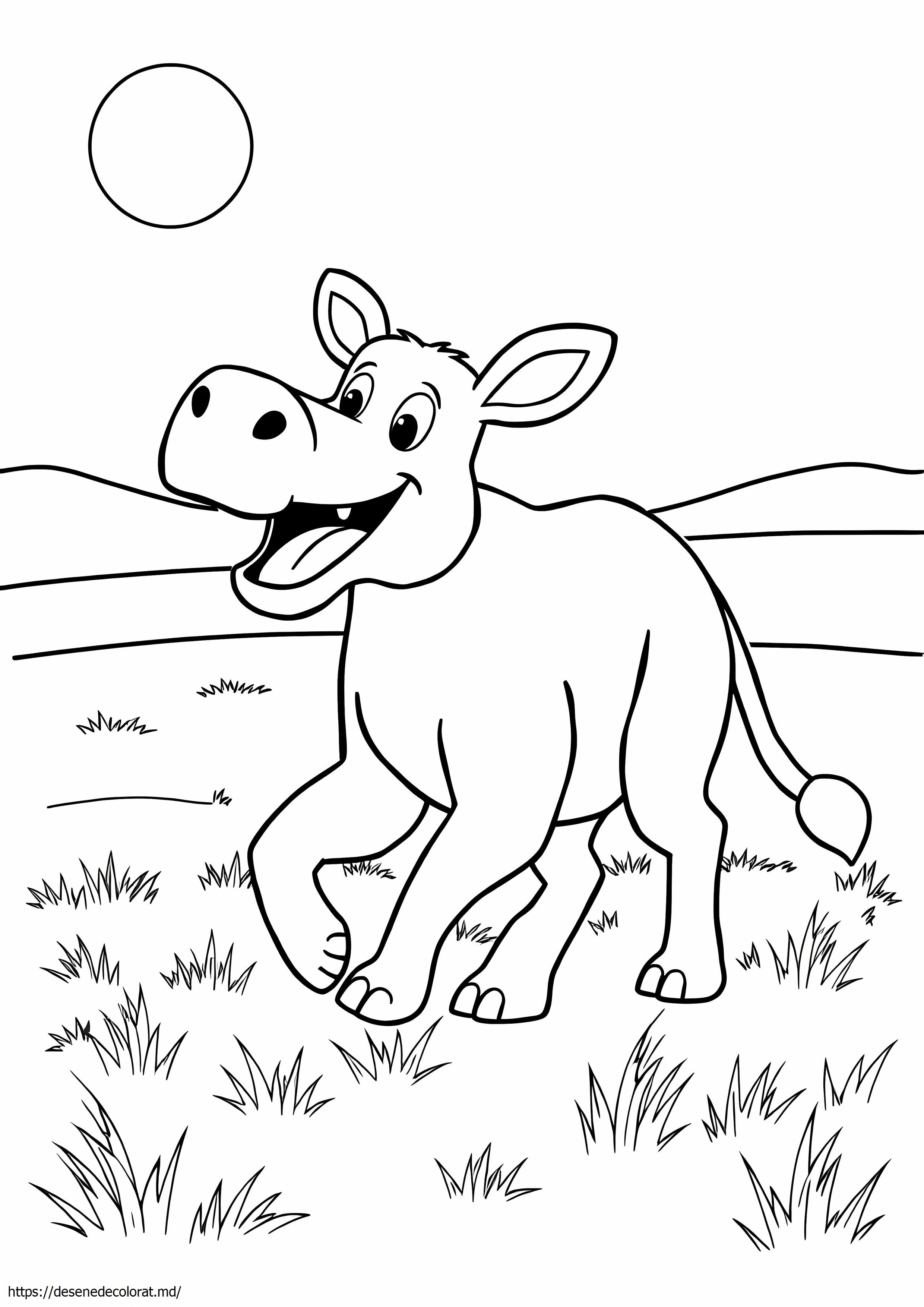 Animal terestru