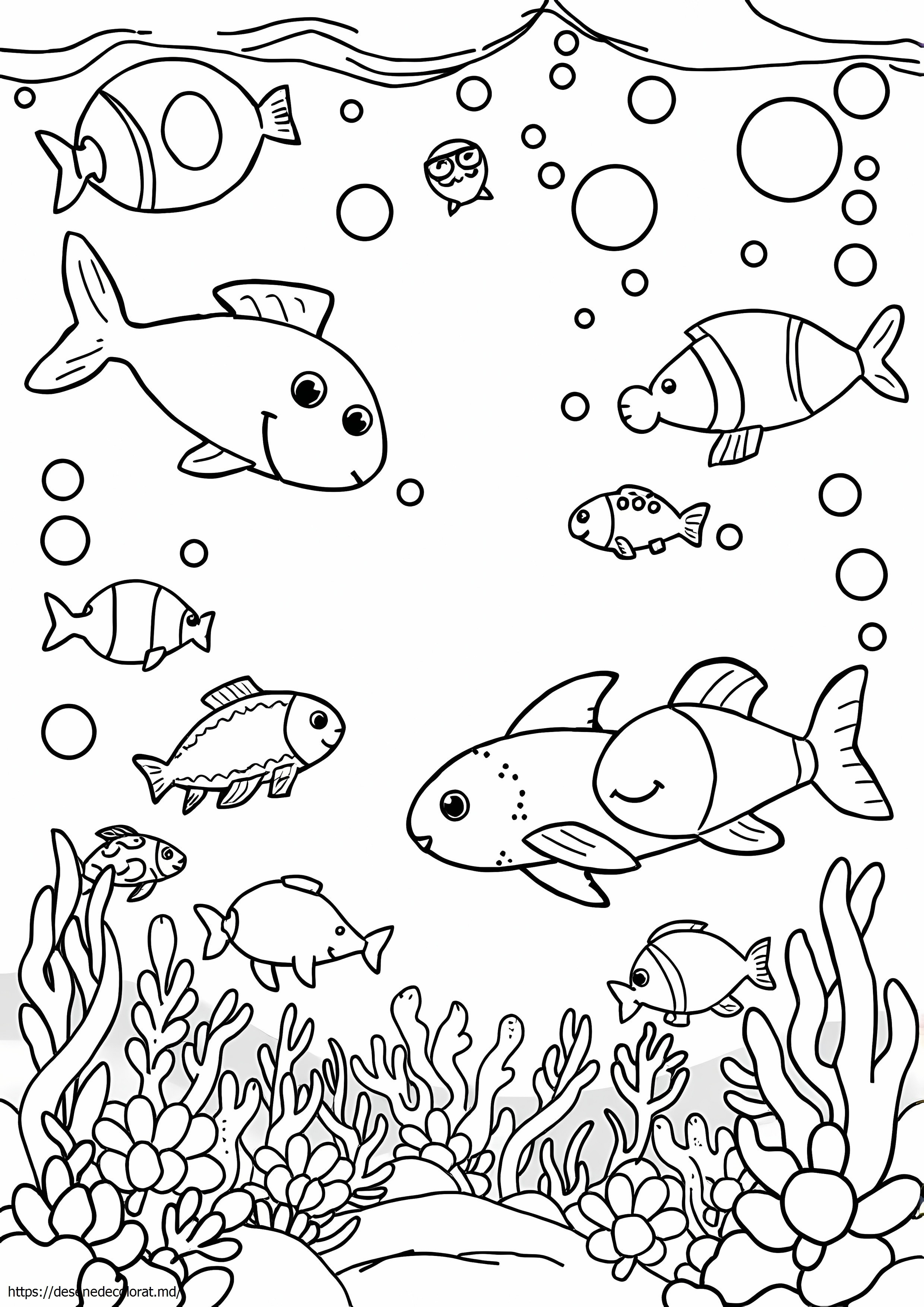 Viata de mare animale oceanice