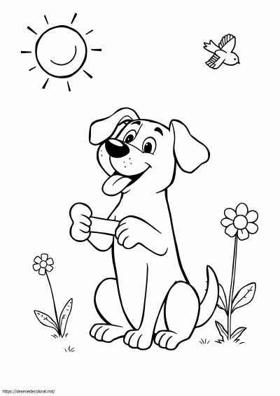 Hund