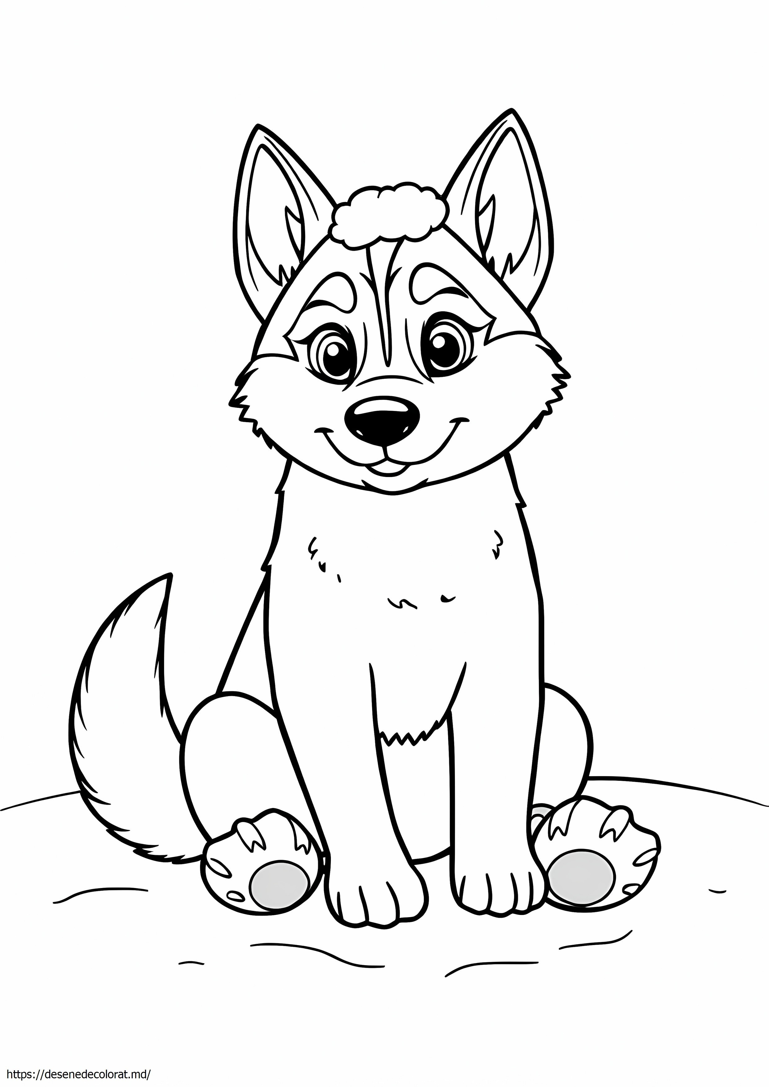 Câine husky