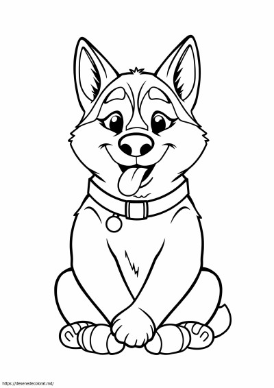 Husky