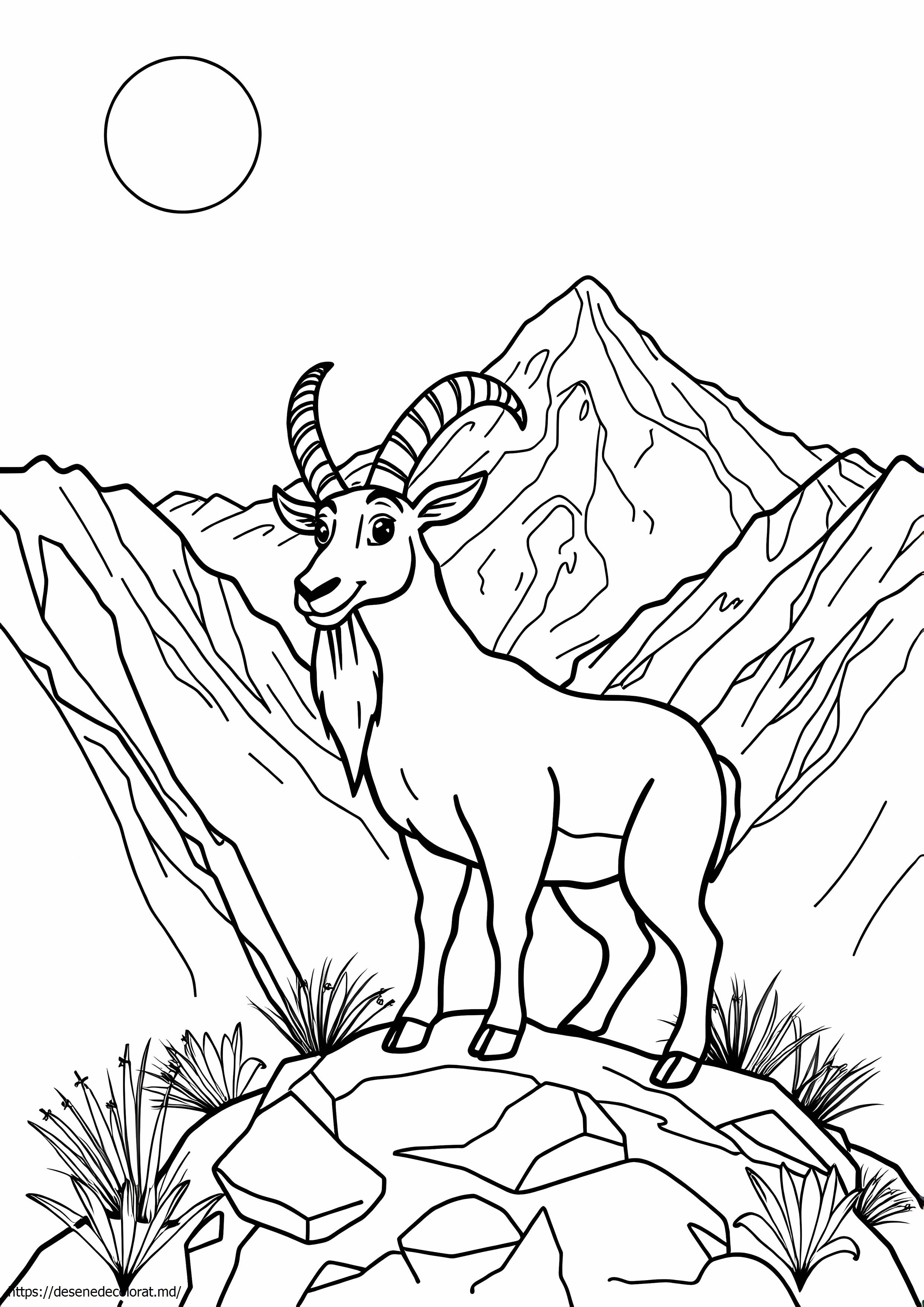 Ibex