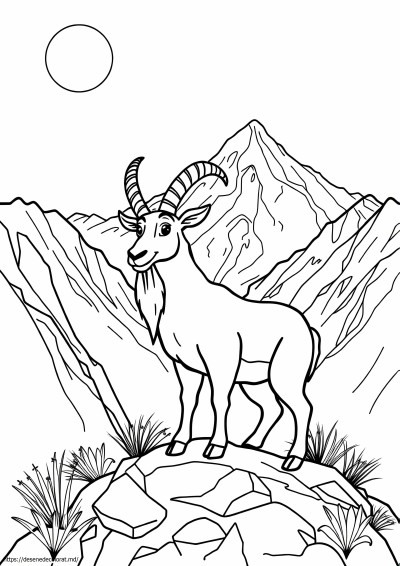 Ibex