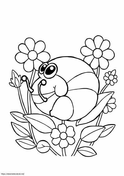 Izopod