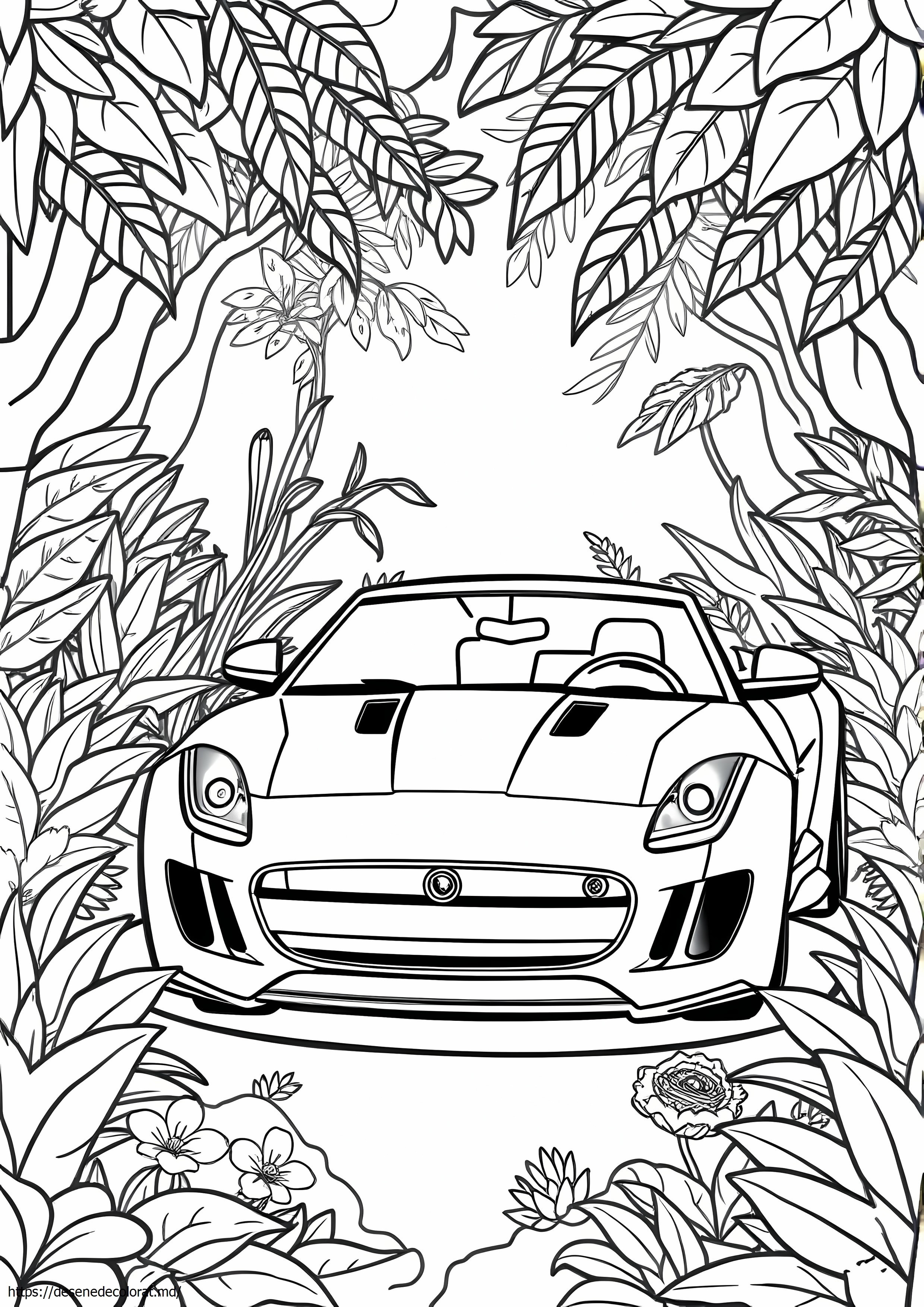Tip jaguar f