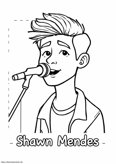 Shawn Mendes