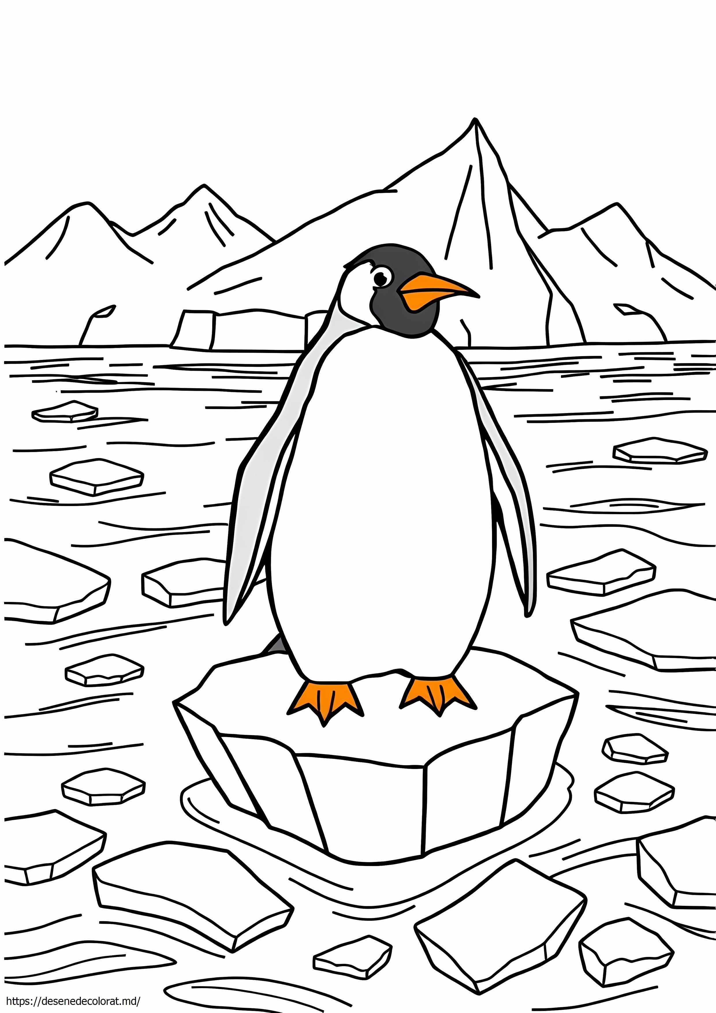 Pinguinul rege