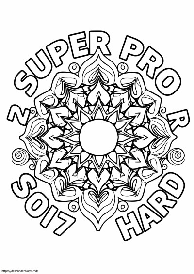 2017 super pro greu