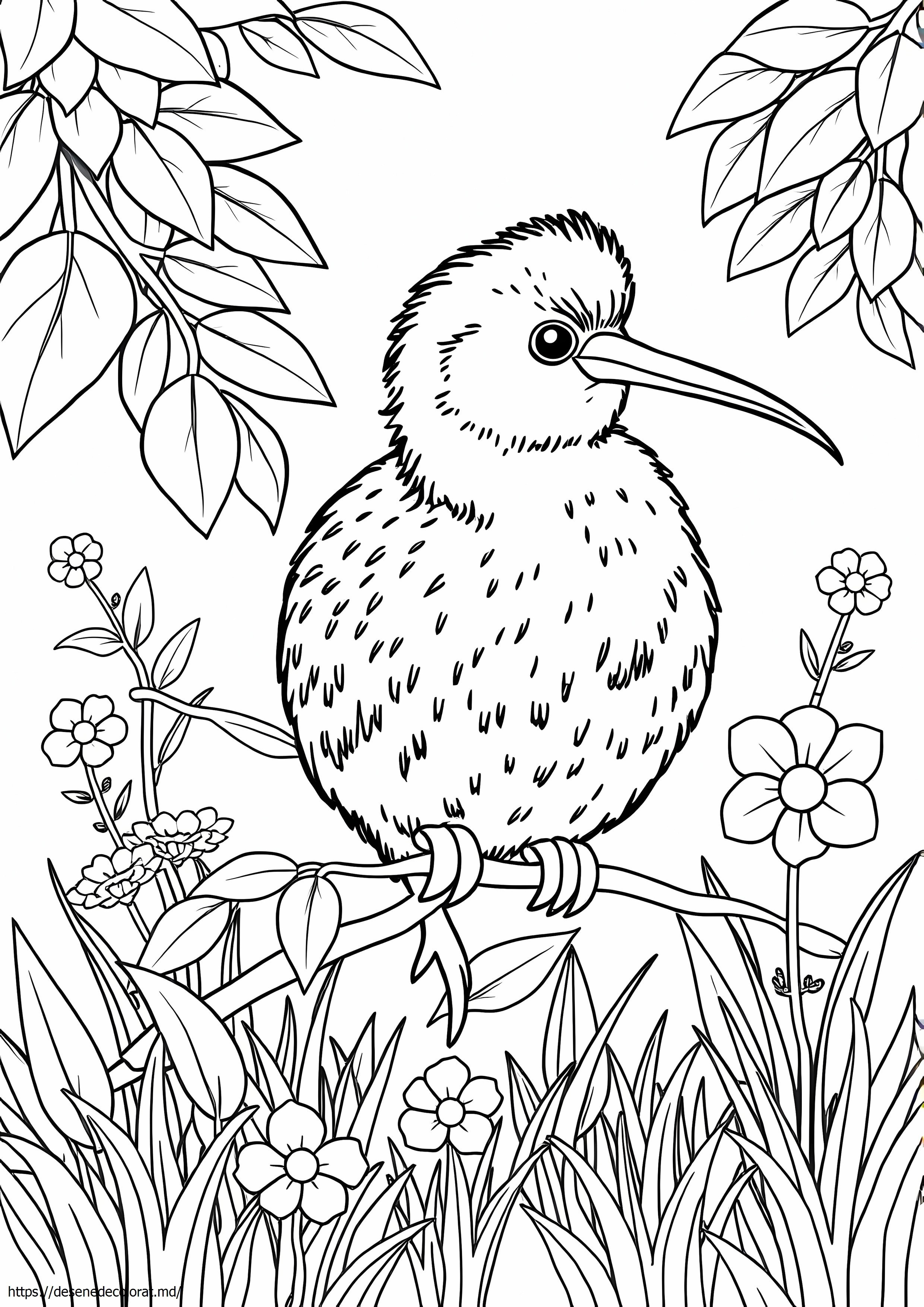Pasăre kiwi