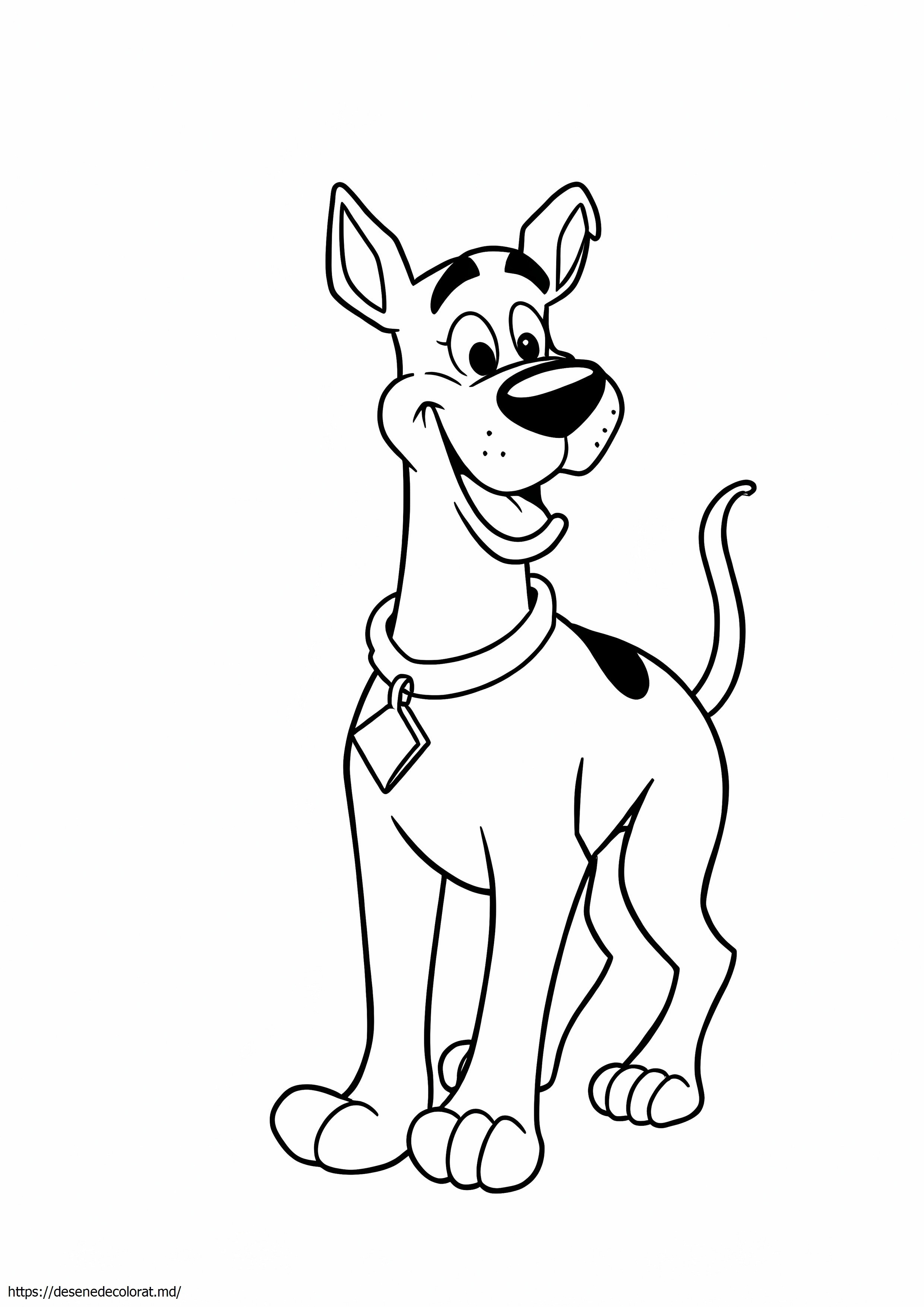 Un pui pe nume Scooby Doo