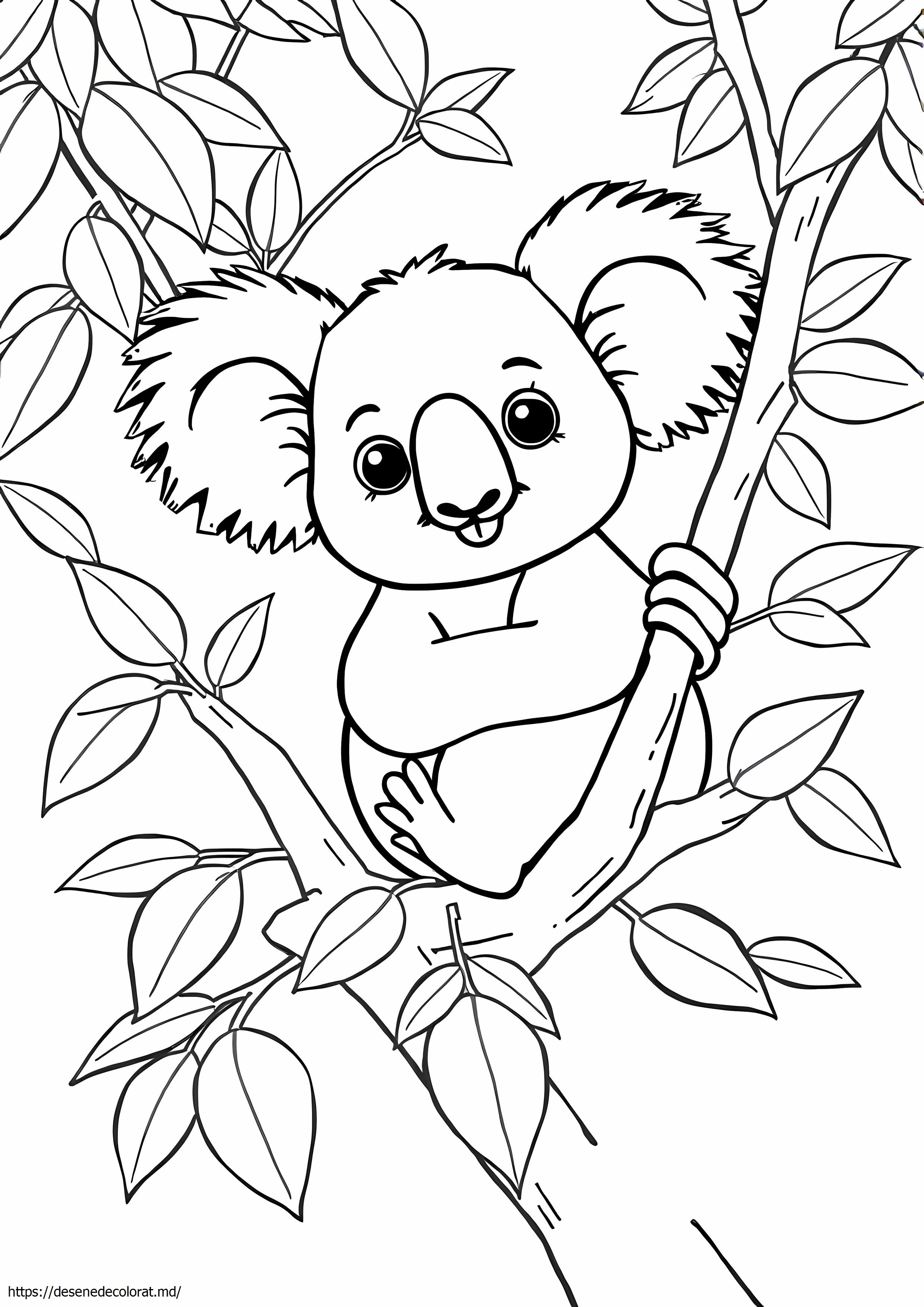 Ursul koala