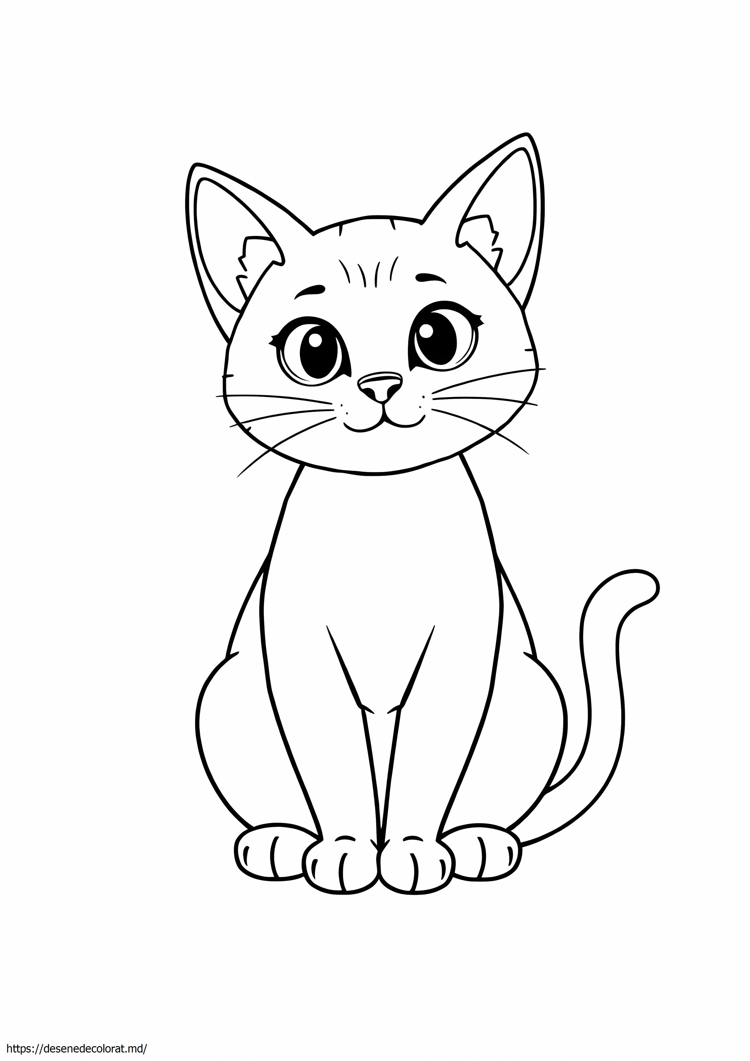 Kucing