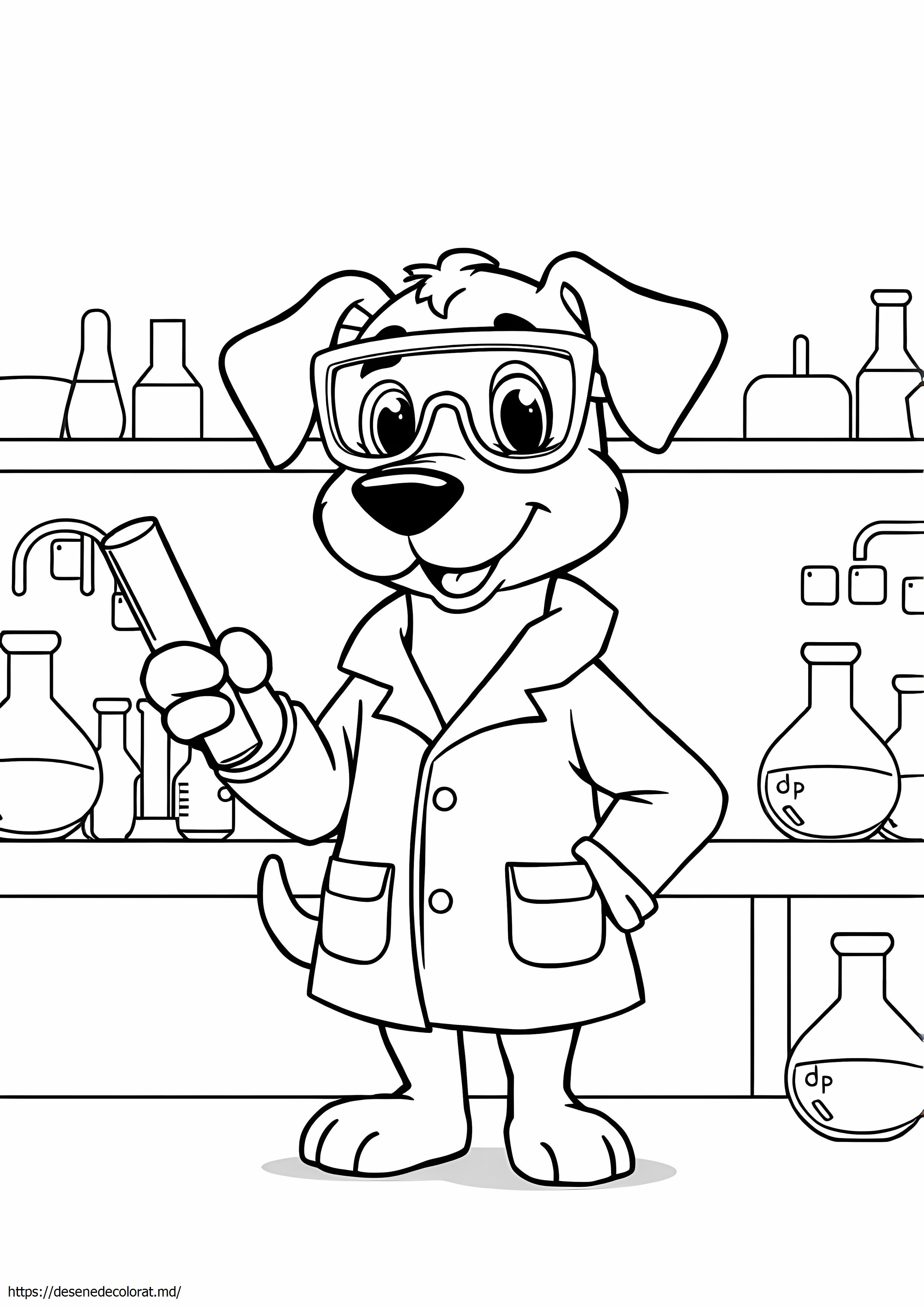 Câine de laborator