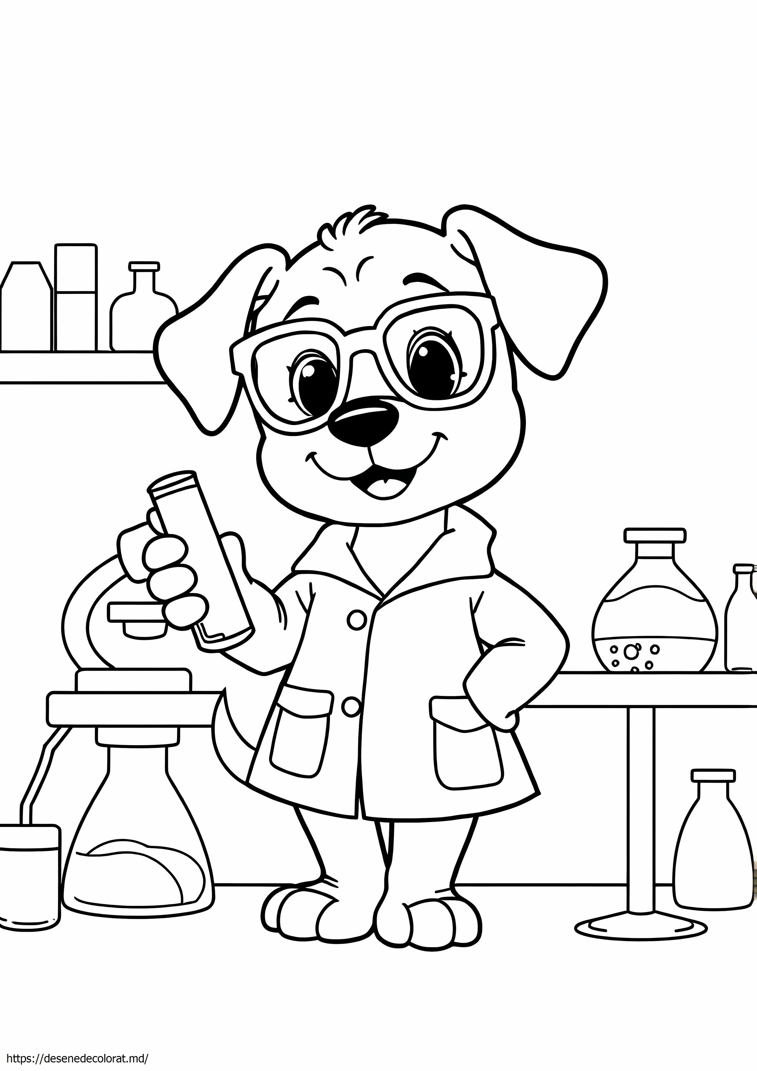 Catelus de laborator