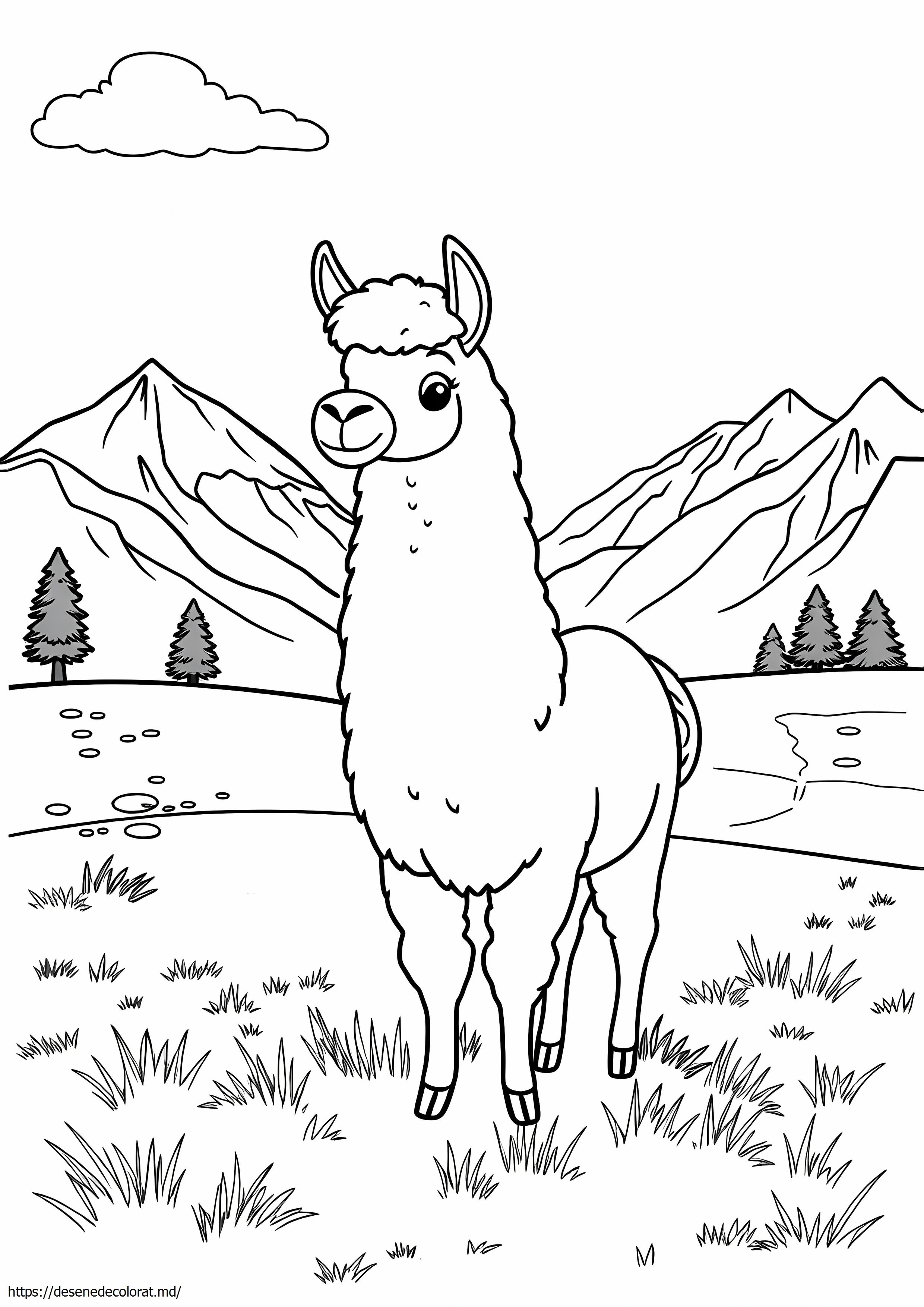 Lama