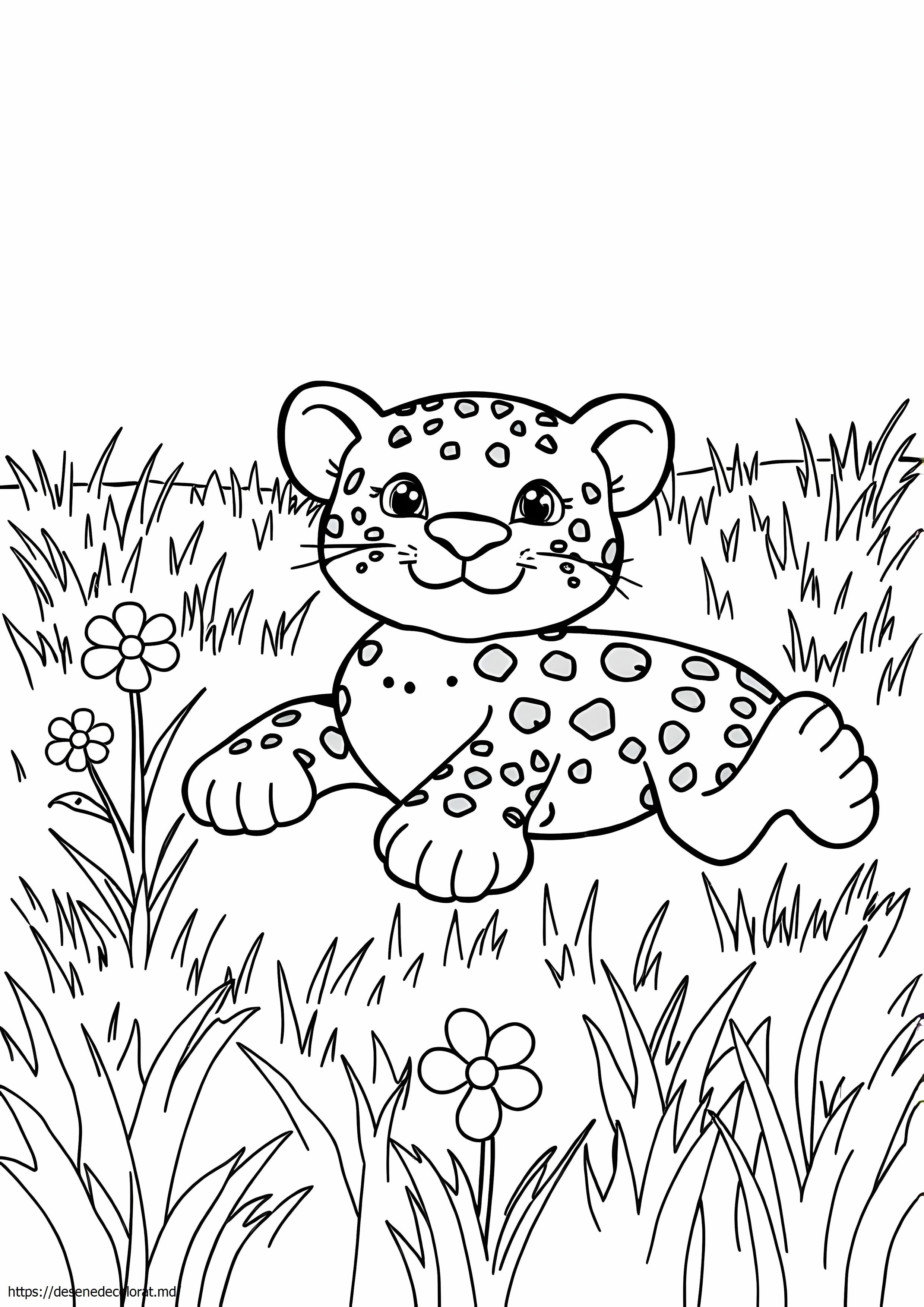 Leapord