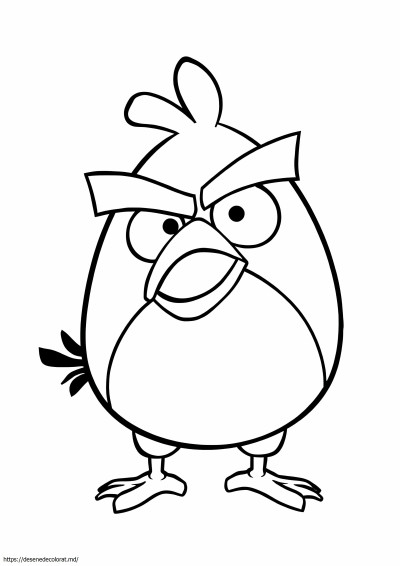 Angry birds terence