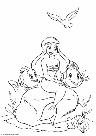 Ariel flonder