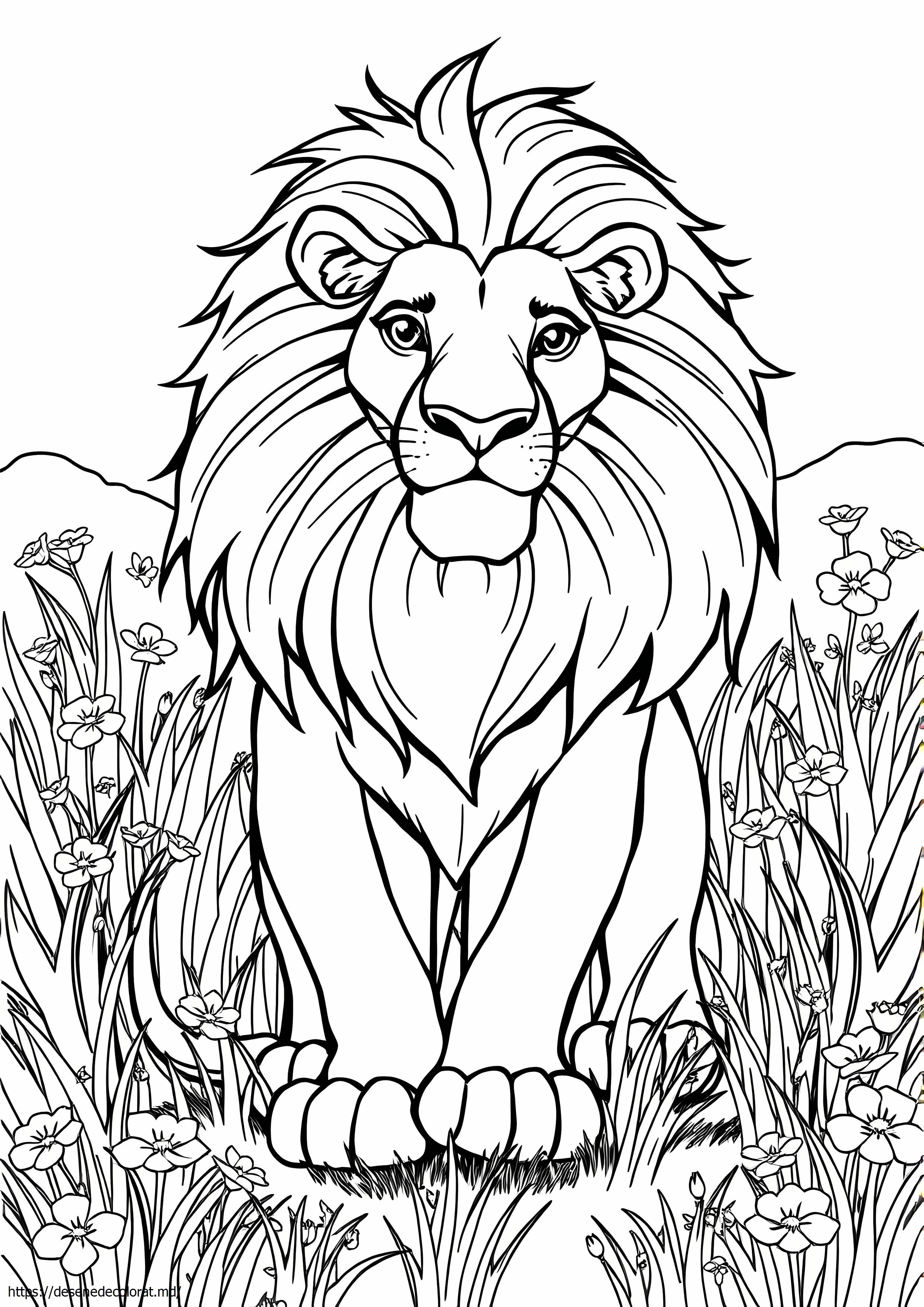 Aslan