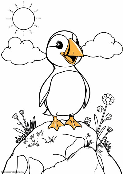 Baba puffin rock