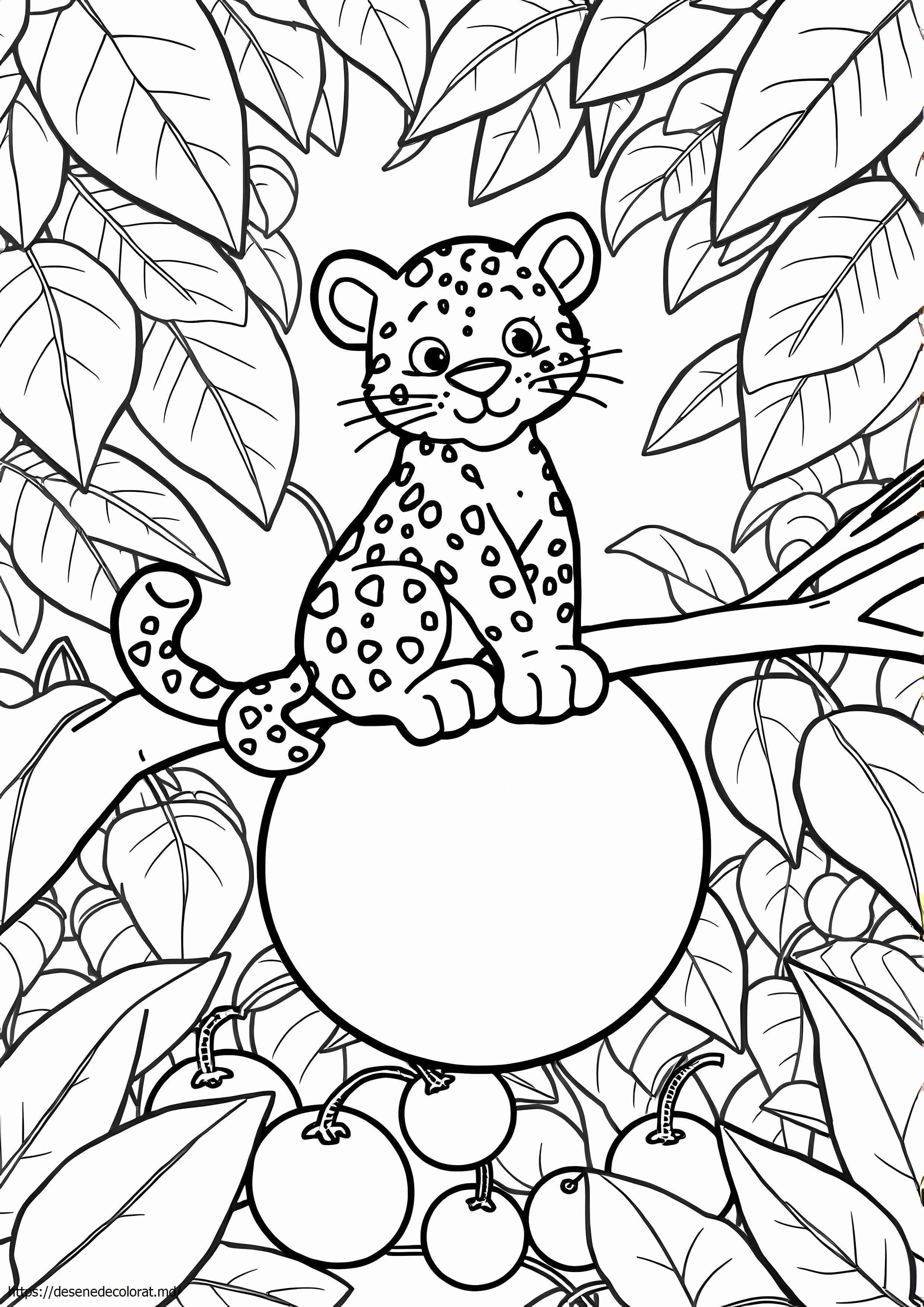 Fruct de leopard