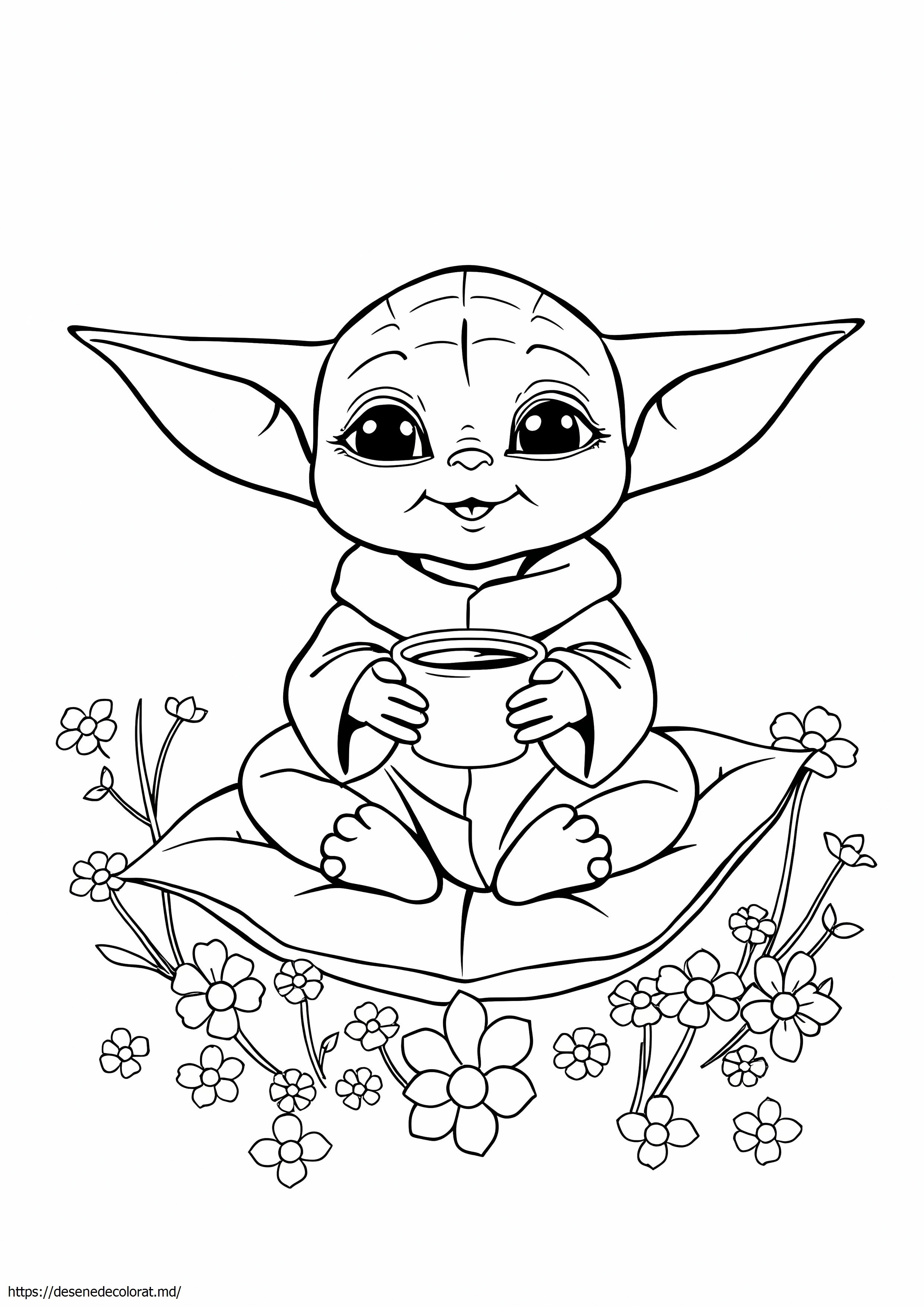 Baby joda