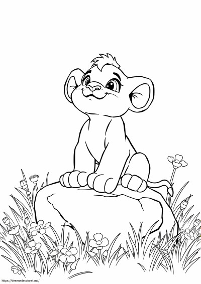 Baby simba