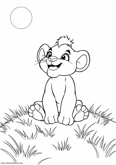 Baby simba rege leu