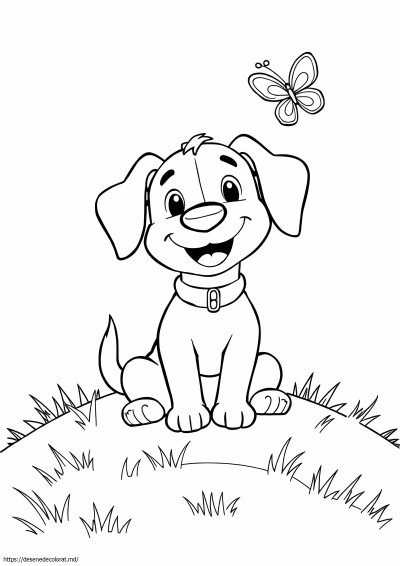 Bailey