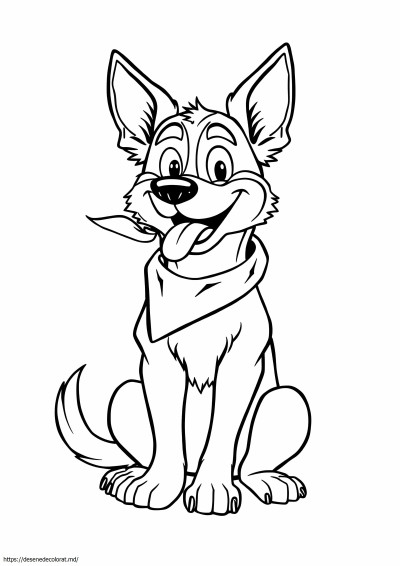 Bandit heeler