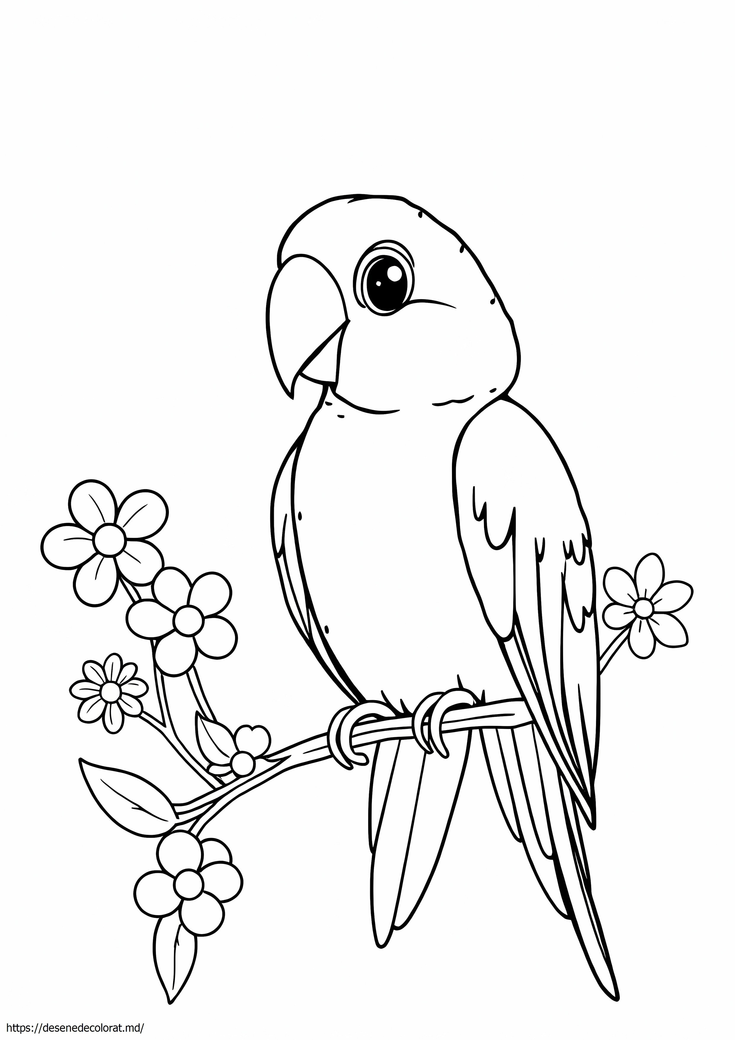 Lori