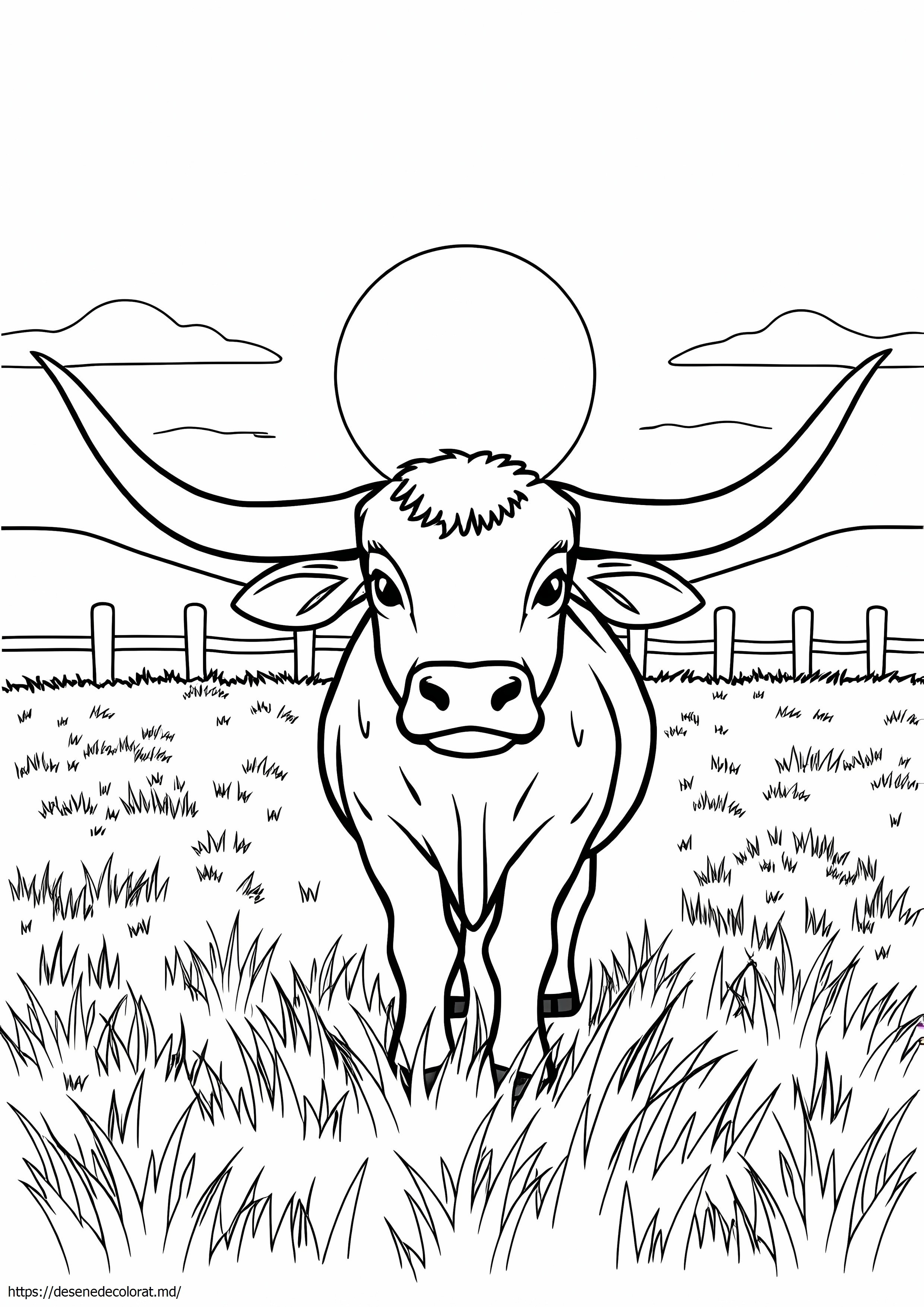 Longhorn