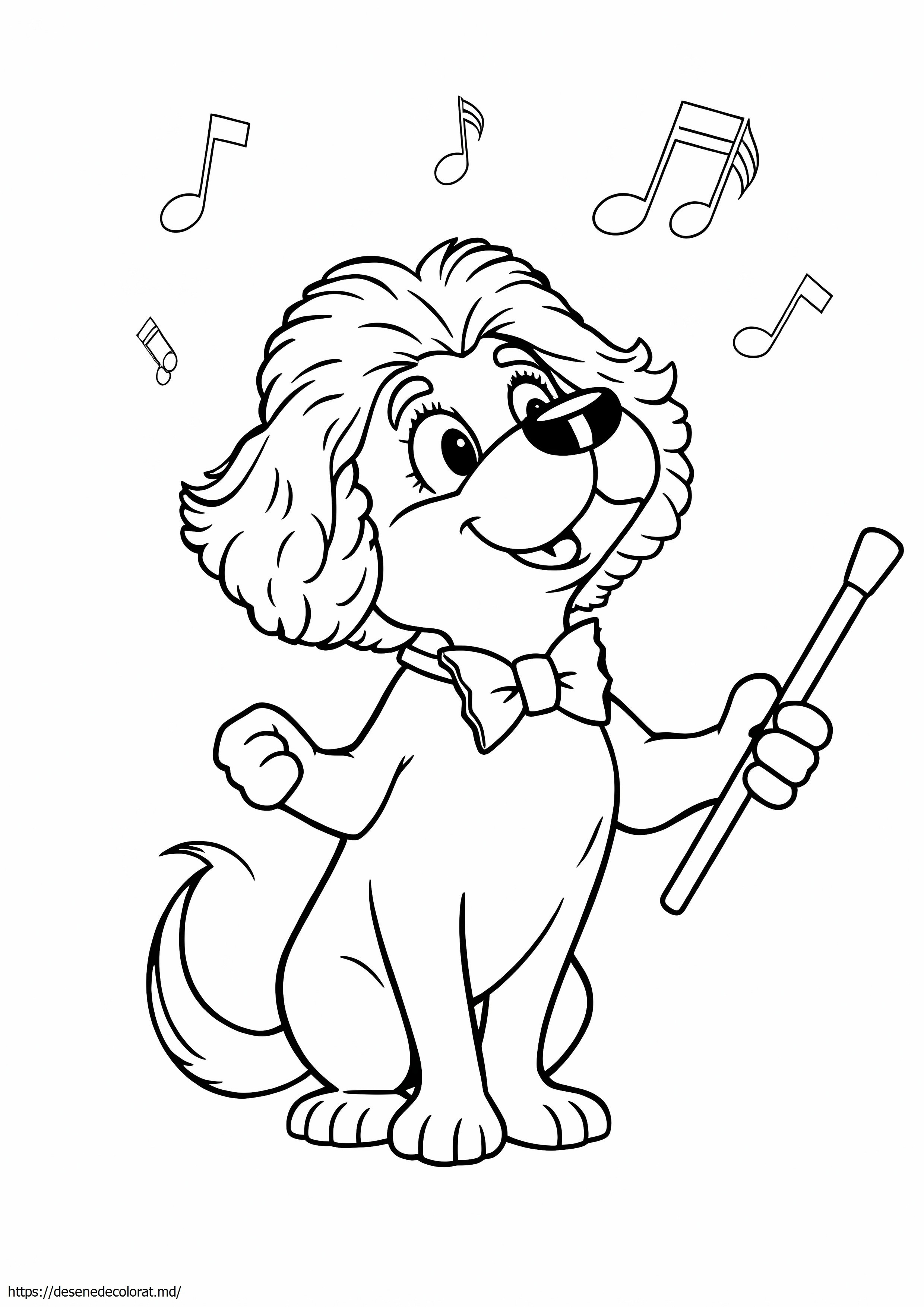 Câine beethoven