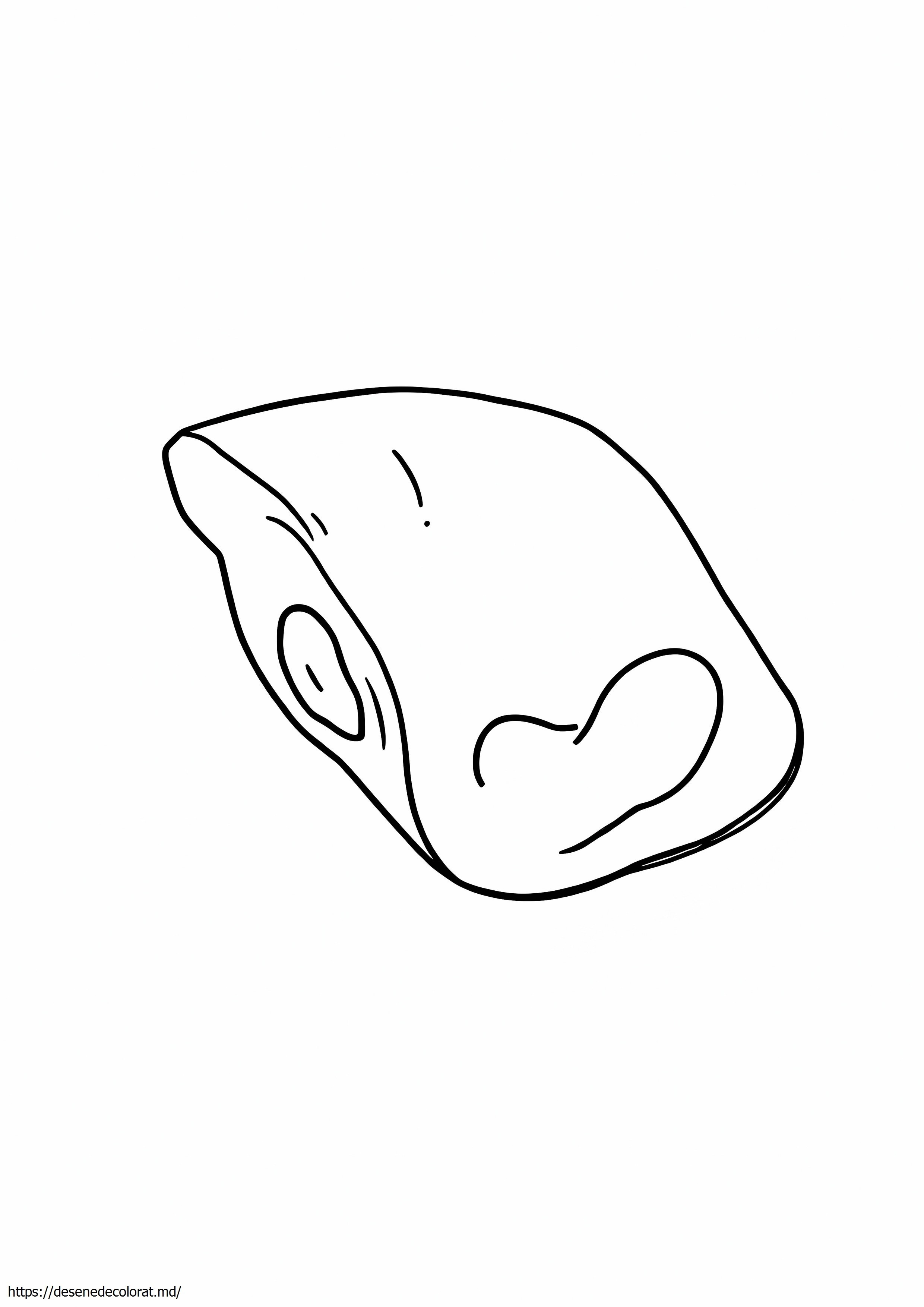 Muschiu