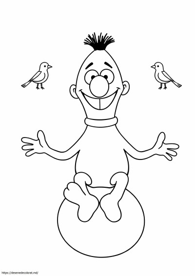 Bert