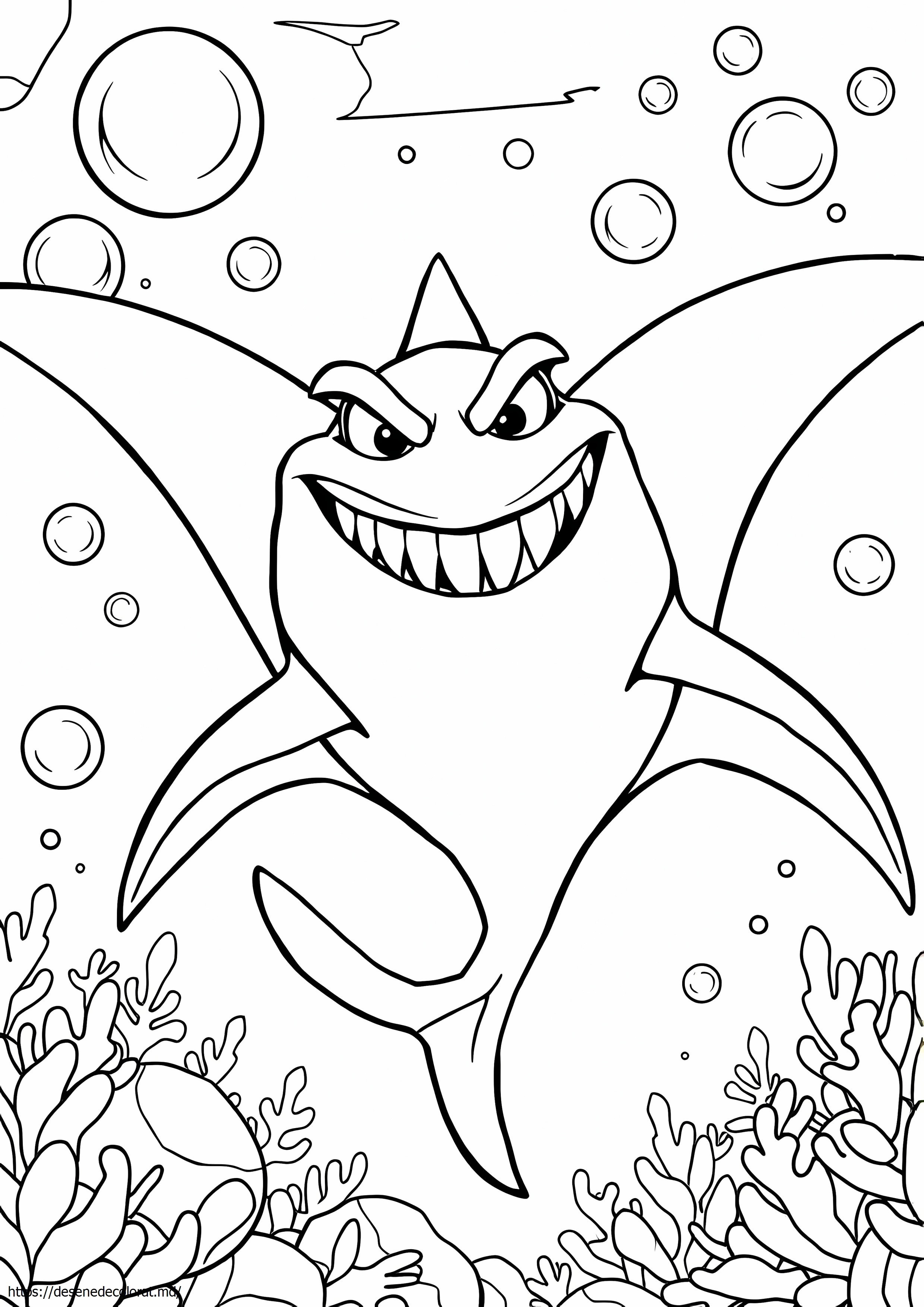 Manta neagră