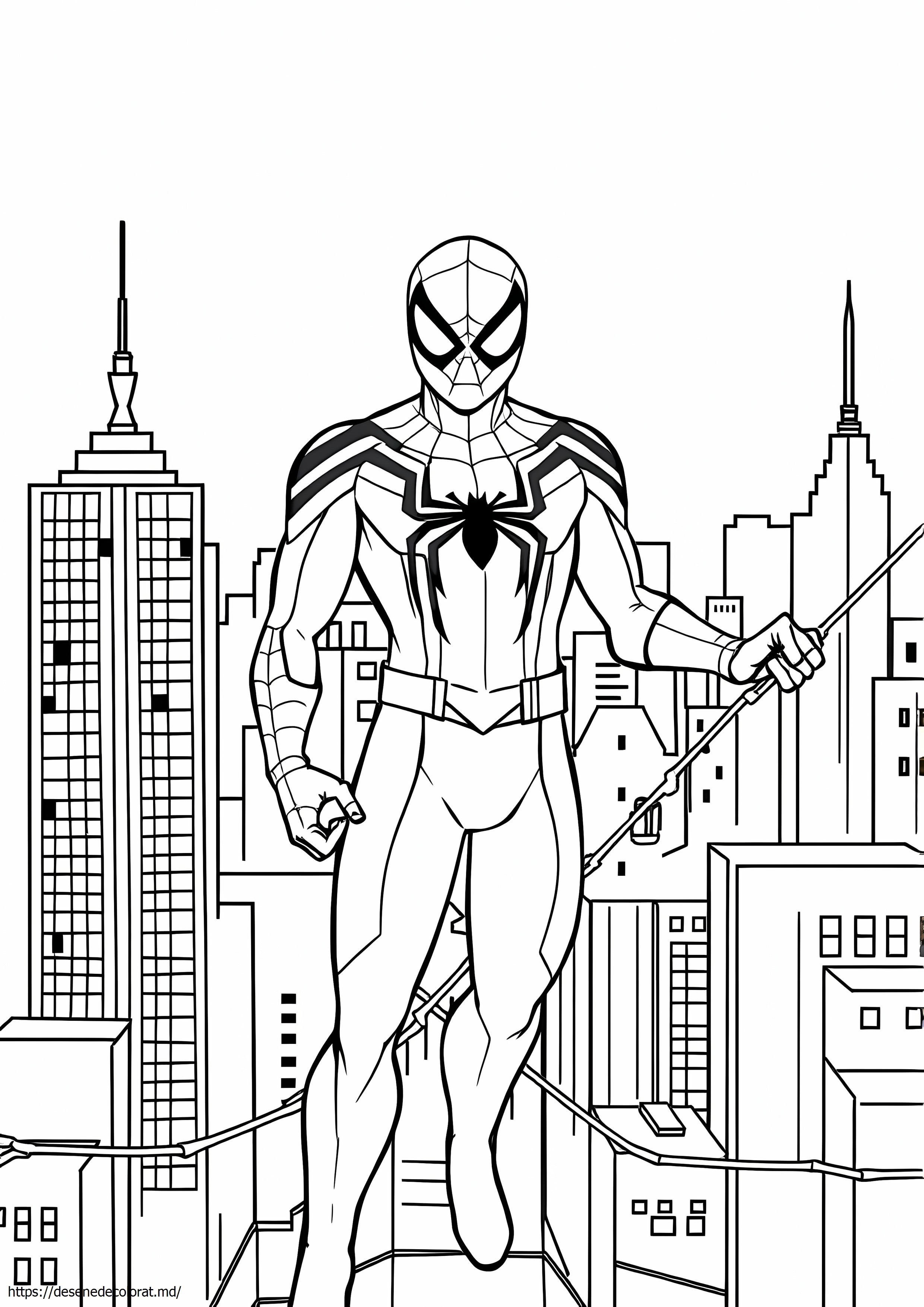 Costum negru spiderman