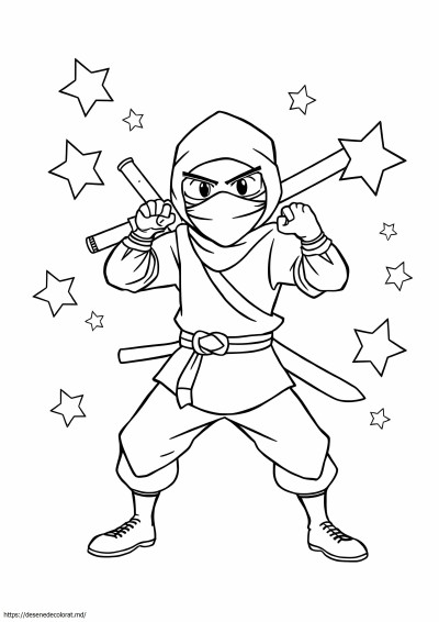 Ninja albastru