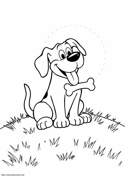 Buster