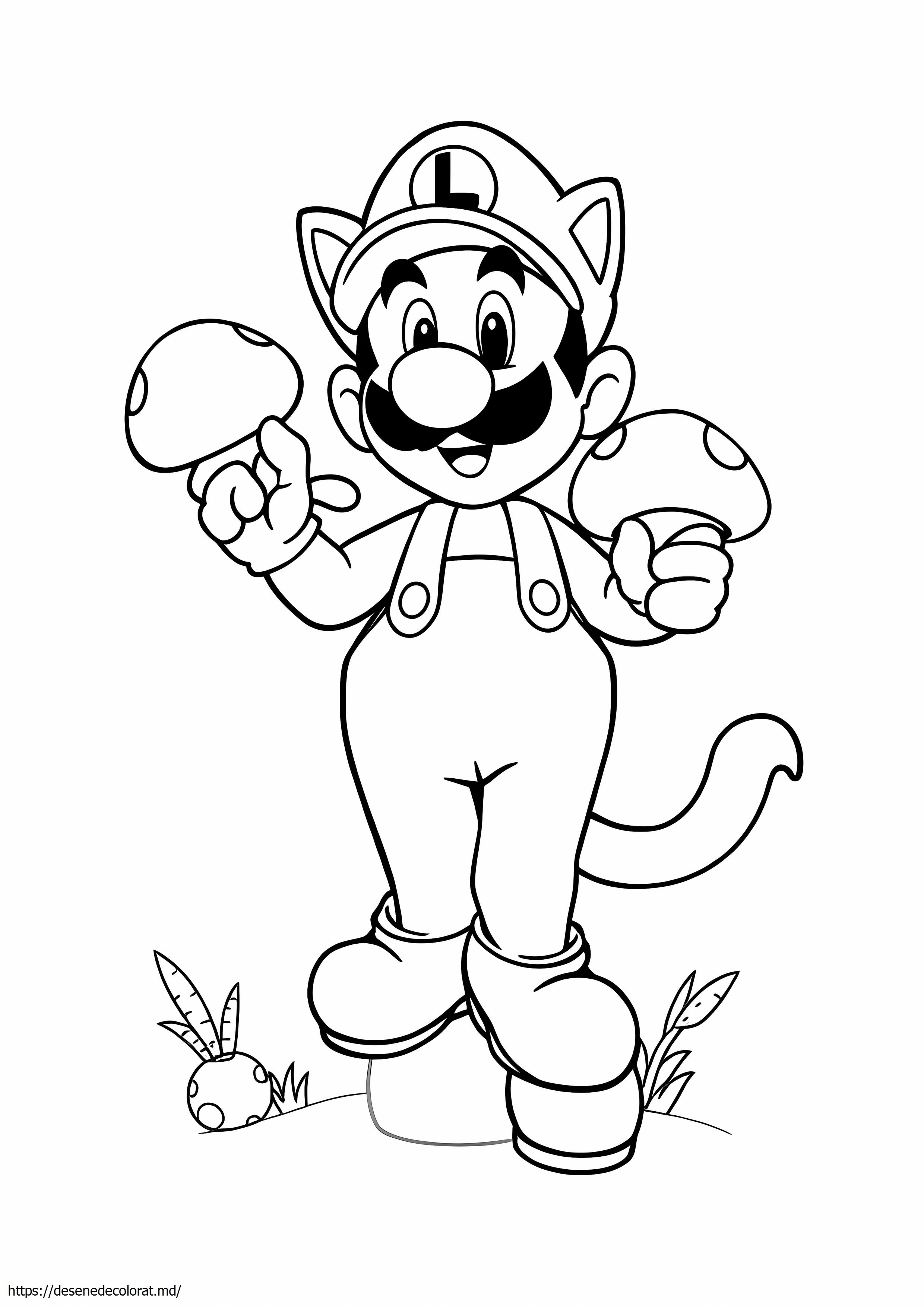 Cat luigi