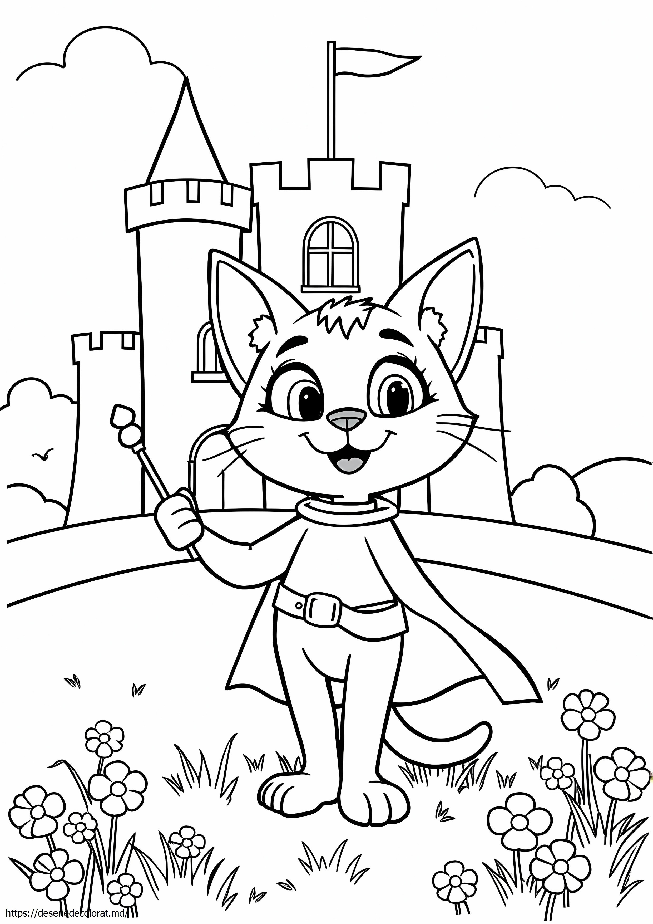Catboy