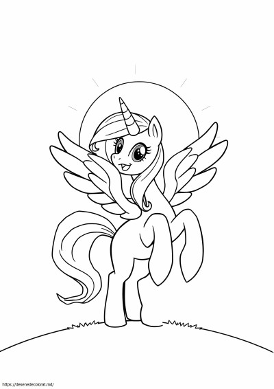 Celestia poneiul meu