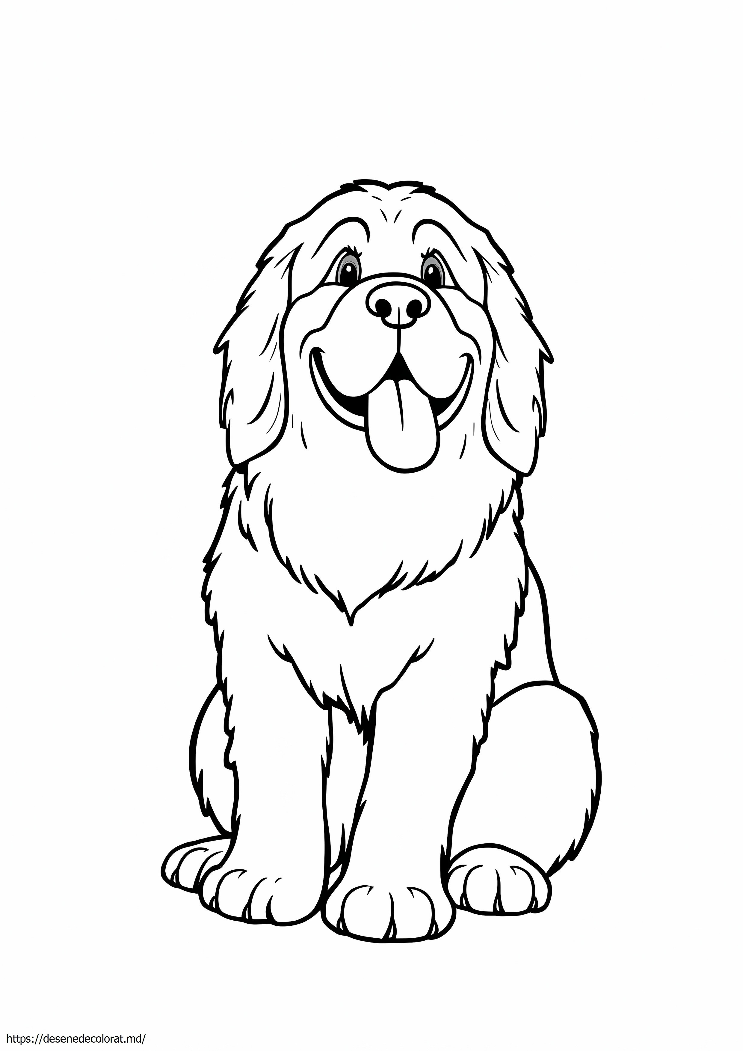 Newfoundland