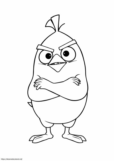 Filmul Chuck Angry Birds
